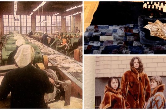 Išskirtinė paroda apie „Vilko“ kailių fabriką: išsaugojo ir legendinius produkcijos pavyzdžius