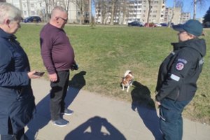 Augintinių šeimininkai policijos dėmesio sulaukė ir dar viename mieste: primena, kokios baudos laukia pažeidėjų