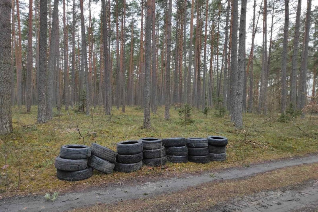 Atėjus pavasariui primena: už padangas miške – didžiulė bauda