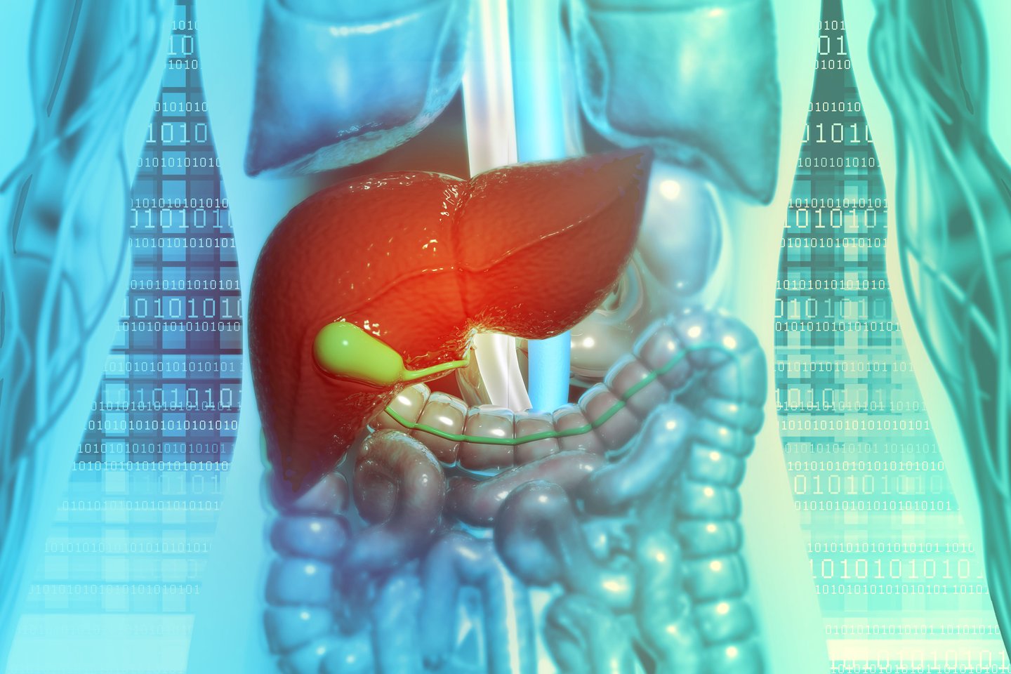 Kepenų sveikata<br>Asociatyvi 123rf iliustr.