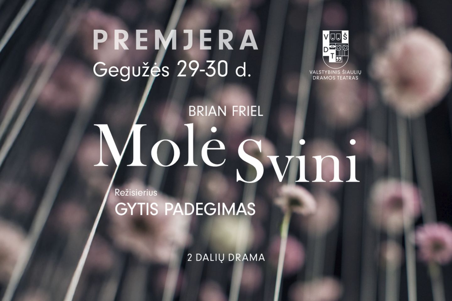 Valstybinis Šiaulių dramos teatras ruošiasi naujo spektaklio „Molė Svini“ premjerai.