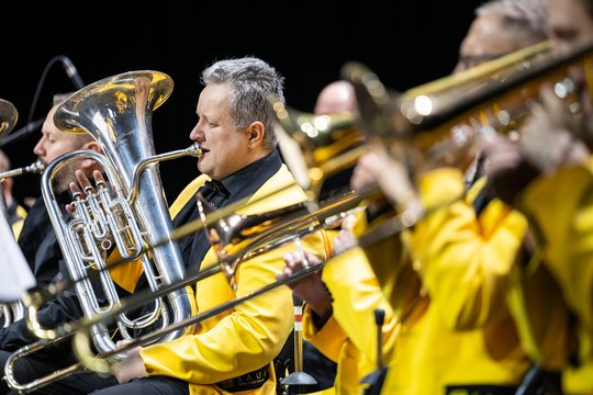 Šventinis koncertas „Velykų šviesa“ pripildė „Saulės“ salę šiluma