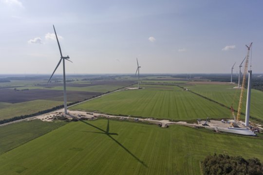 Lenkijos bendrovė Lietuvoje statys vėjo jėgainių parką: projekto vertė – 28,5 mln. eurų