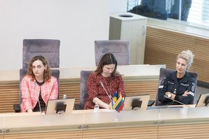 Seimo salėje – sukrečianti seksualinį smurtą patyrusios moters žinutė ir prašymas: „Tai galite pakeisti tik jūs“