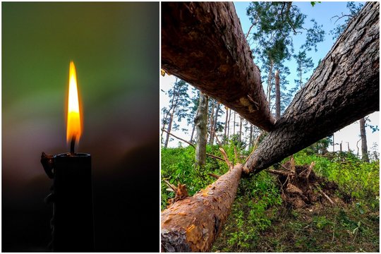 Virstančio medžio užmuštą vyrą miške greta Kėdainių rado tik po parą trukusios paieškos