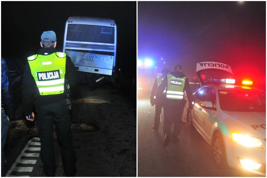 Laukinis gyvūnas autostradoje prie Vilniaus sukėlė avariją: susidūrus autobusui ir sunkvežimiui nukentėjo 7 žmonės
