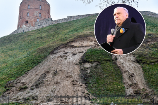 Algirdas Kaušpėdas. Gedimino miestas ir jo kalnas