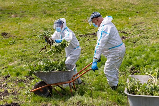 „Pokyčiai būtų negrįžtami“: įspėja kovoje nenuleisti rankų – daroma žala išaugtų milžiniškai