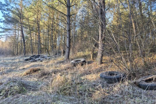 Miške – šokiruojantis radinys: sutvarkymui prireikė net specialios technikos