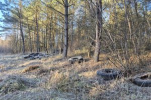 Miške – šokiruojantis radinys: sutvarkymui prireikė net specialios technikos