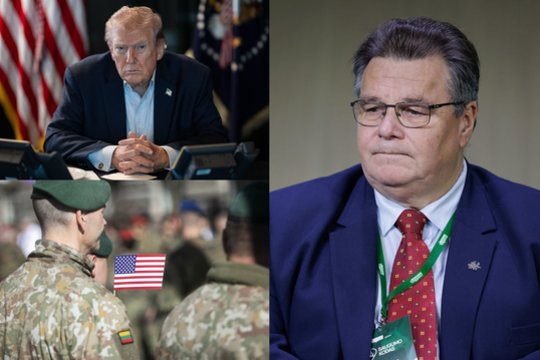 L. Linkevičius ramino dėl „žodžių karo“ NATO viduje: D. Trumpo grasinimai – tušti