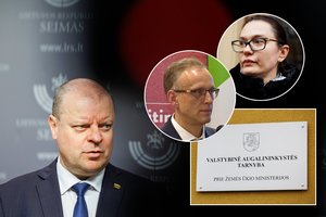 „Krabu“ vadintam S. Skverneliui mesti įtarimai dėl kyšininkavimo: viskas, ką žinome iki šiol