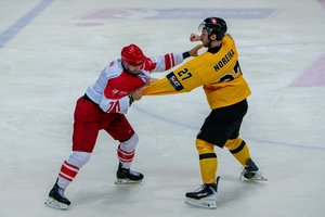 Lietuvos ir Lenkijos ledo ritulio rungtynėse – muštynės