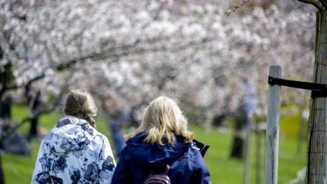 Savaitgalį kritulių neišvengsime: permainos – jau netrukus
