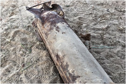 Vilkaviškio rajono miške aptikta didelė karo laikų bomba: svoris – net 100 kilogramų