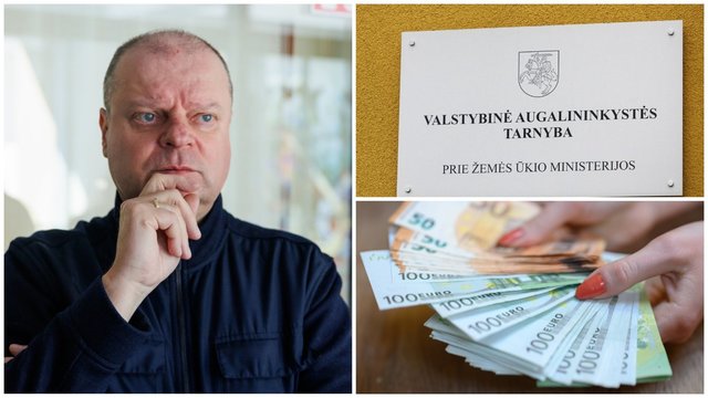 A. Širinskienė, R. Puchovič, D. Asanavičiūtė, P. Pinelis: moralė miršta, patyčios bujoja?