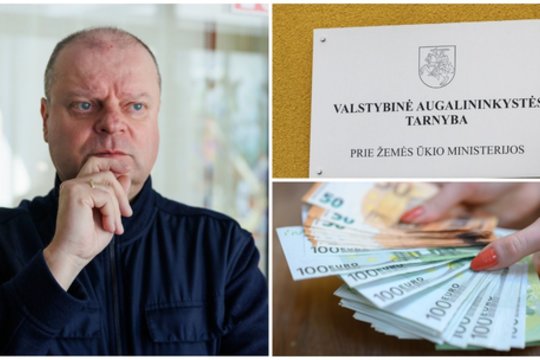 A. Širinskienė, R. Puchovič, D. Asanavičiūtė, P. Pinelis: moralė miršta, patyčios bujoja?