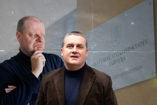 S. Malinauskas išdėstė dar niekur negirdėtus faktus: skandalinga schema, pavardės ir S. Skvernelis