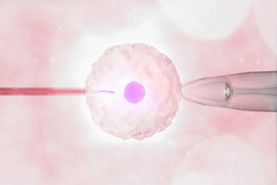 Pagalbinio apvaisinimo procedūros naujiems pacientams sustabdytos iki bus priimtas naujas įstatymas