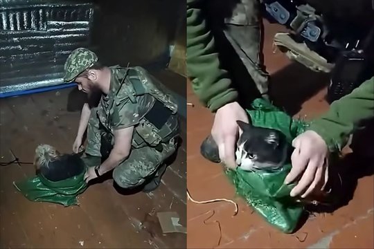Nepaprasta operacija: ukrainiečių kariai iš fronto dronu išgelbėjo katę ir šunį