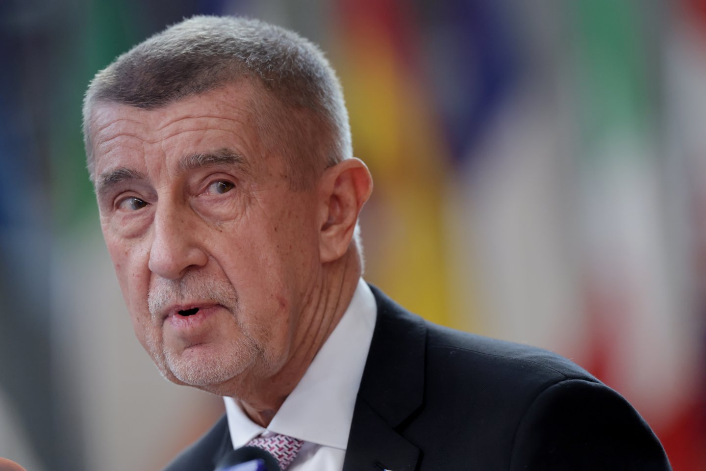 A. Babišas<br> EPA - ELTA nuotr.