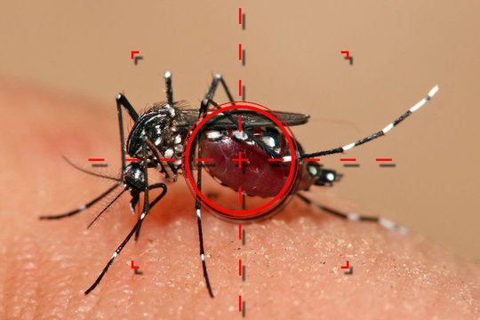 Atidėtas antivirusinis vaistas galėtų padėti daugiau nei 100 milijonų žmonių per metus