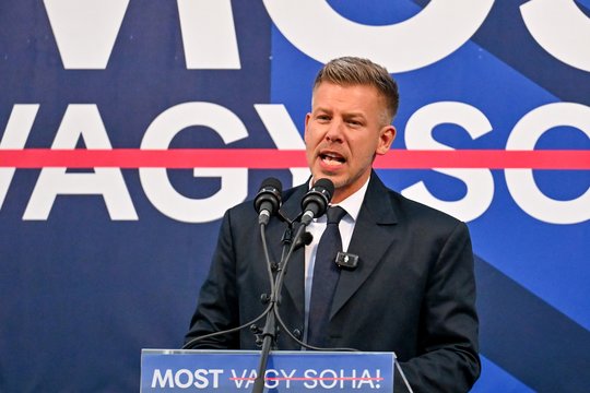 Vengrų profesorius: opozicija išmoko pamokas ir beveik neabejotinai nuvers V. Orbano vyriausybę