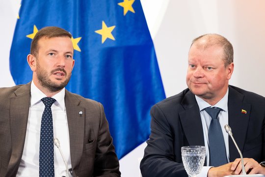 V. Sinkevičius prakalbo, ko tikisi iš S. Skvernelio
