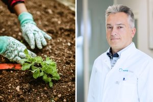 Dirbate sode? Kelkite, dirbkite ir ilsėkitės teisingai: gydytojas paaiškina, kaip išvengti skausmų