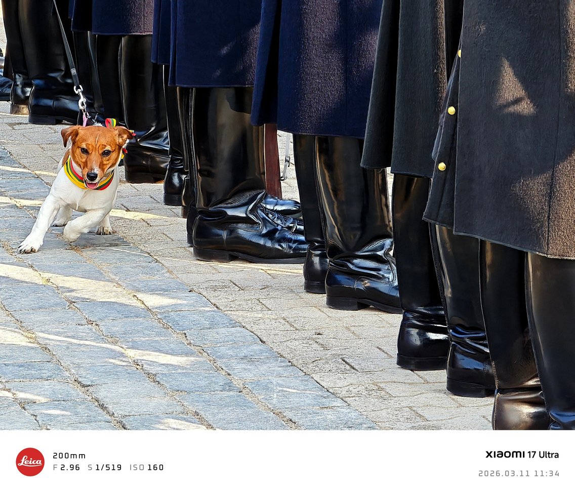  Projekto kadro meistrai galerija: Akimirka.