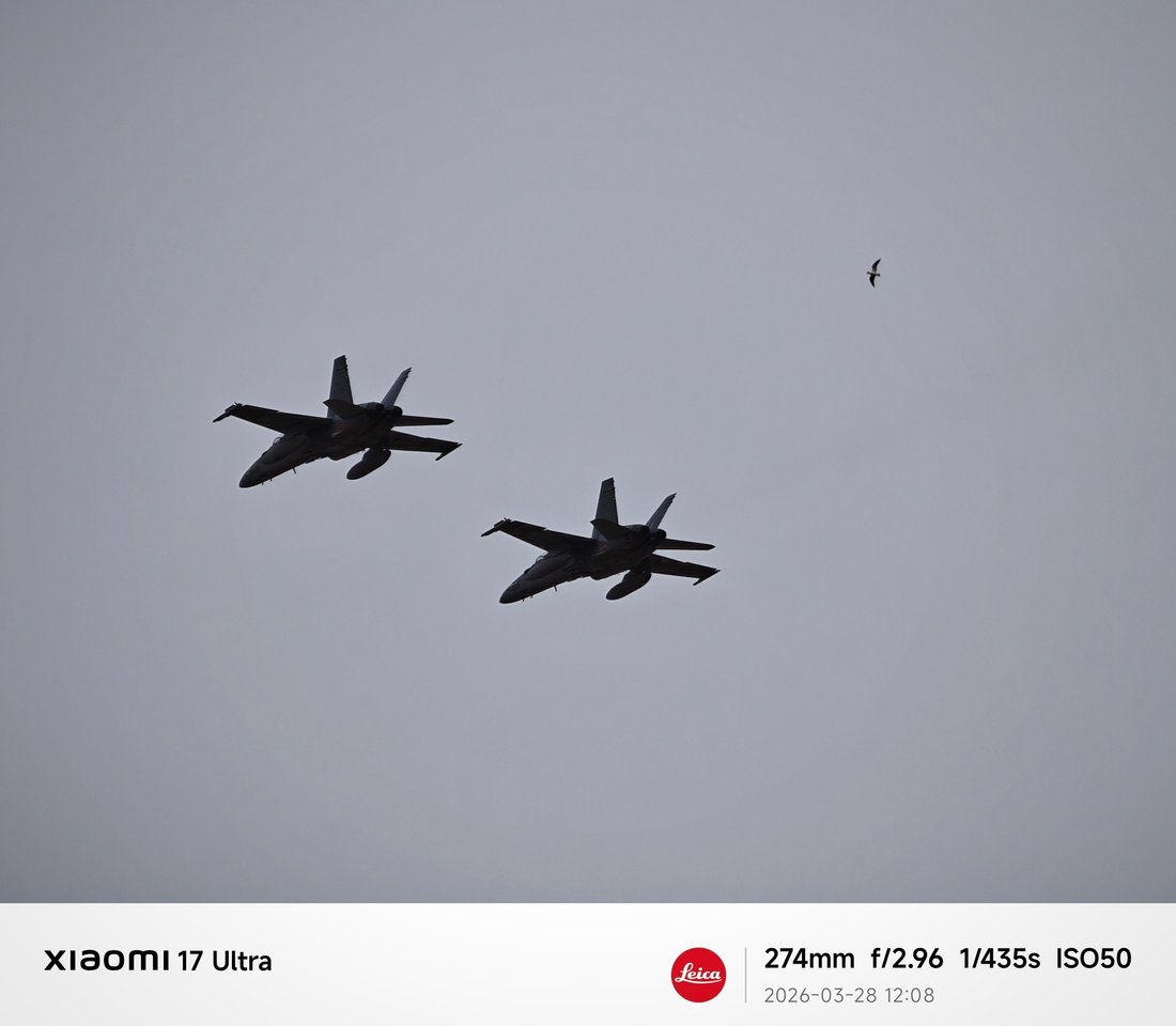  Projekto kadro meistrai galerija: Laisvė.