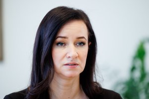 I. Ruginienės užsienio vizitų žemėlapyje – kol kas standartinės kryptys