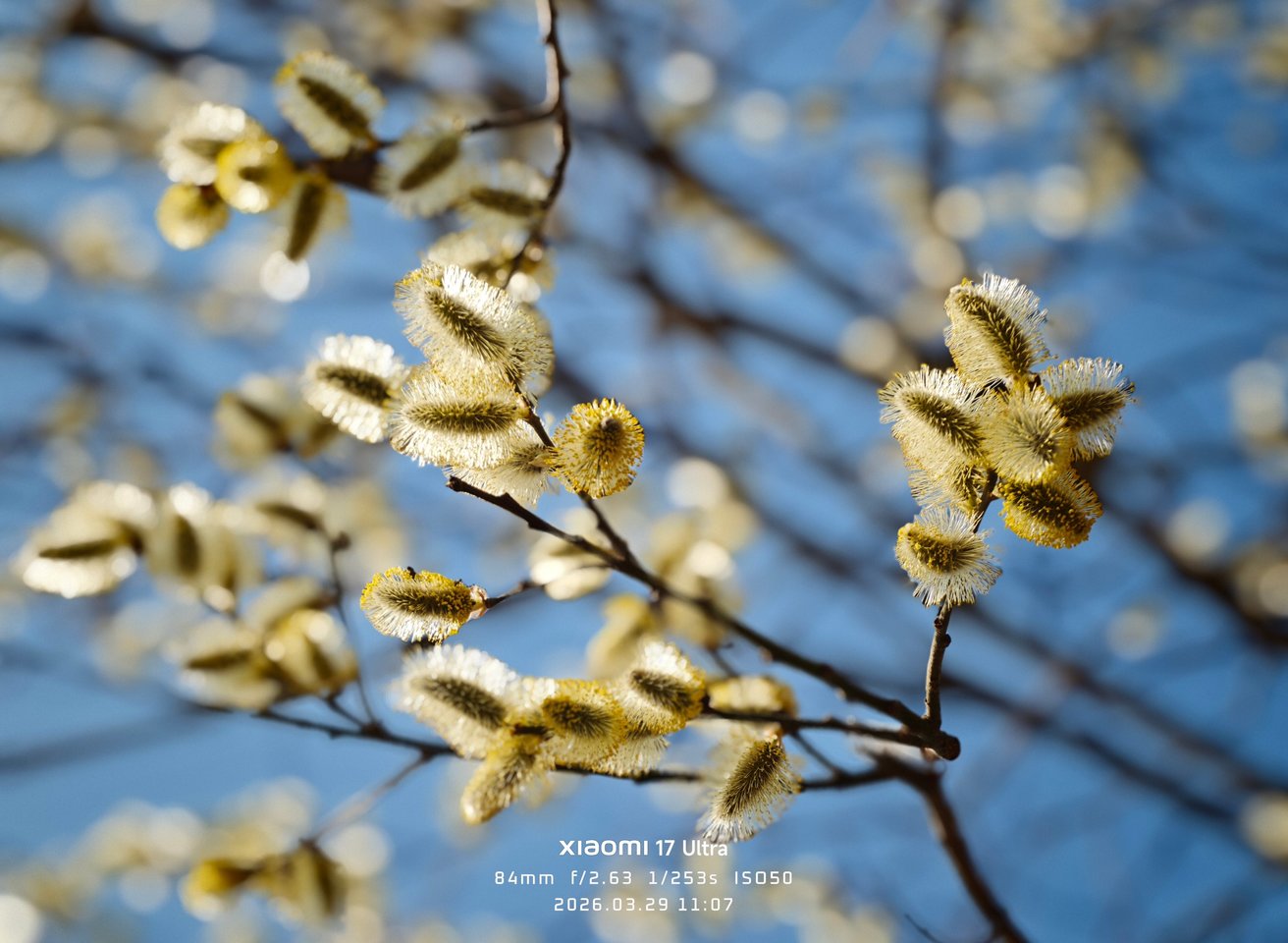  Projekto kadro meistrai galerija: Pavasaris.