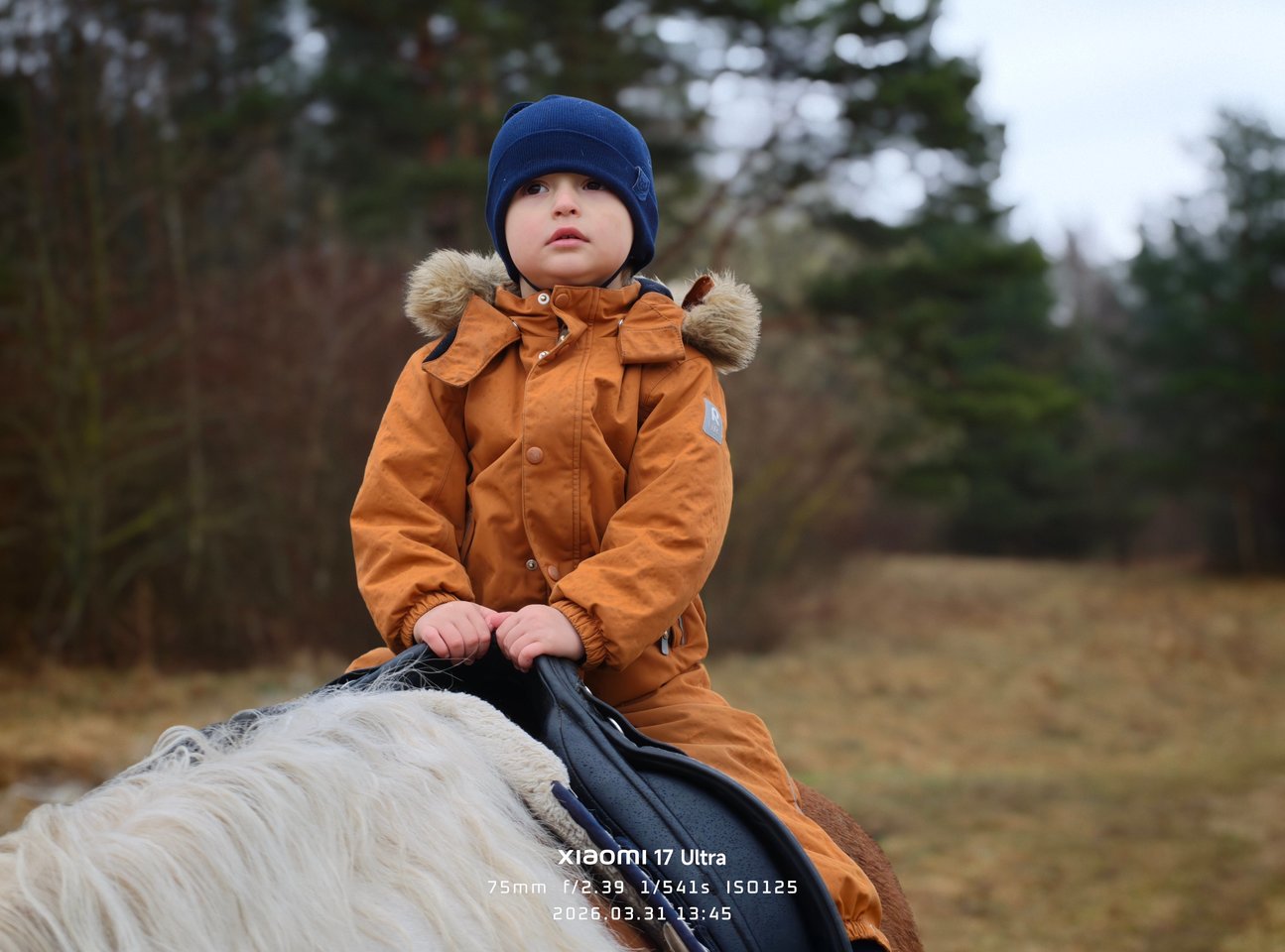  Projekto kadro meistrai galerija: Pavasaris.