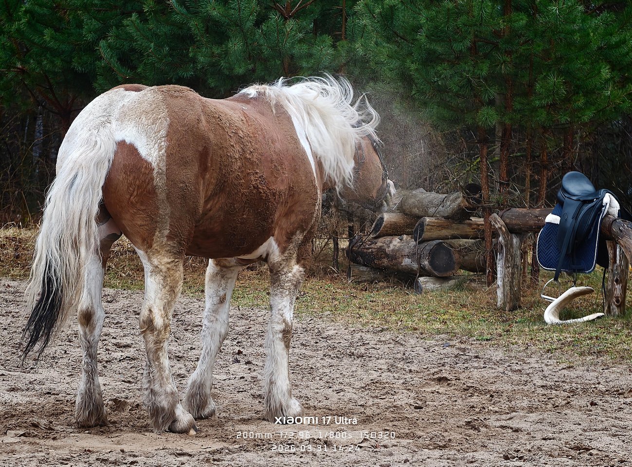 Projekto kadro meistrai galerija: Pavasaris.