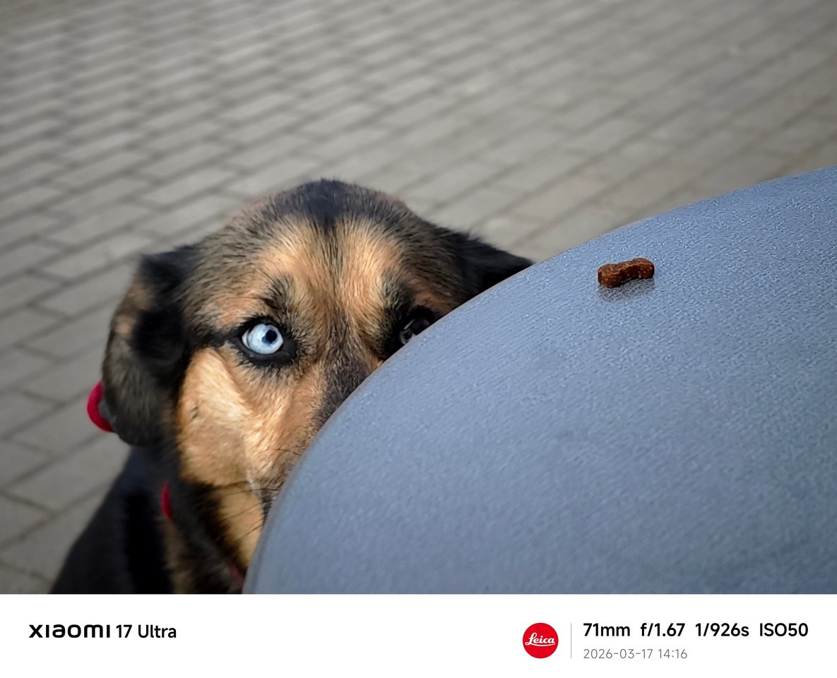  Projekto kadro meistrai galerija: Veidai. 