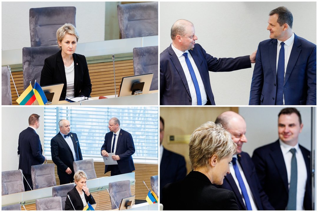 Generalinė prokurorė – jau Seime: kadruose – N. Grunskienė ir S. Skvernelis 