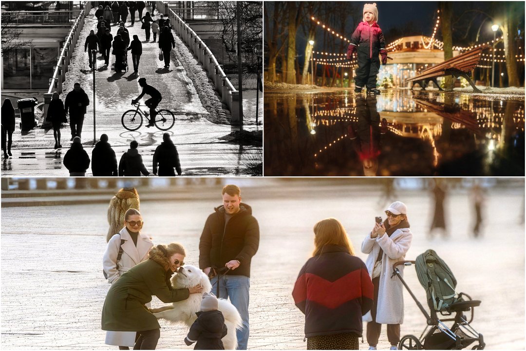 Susipažinkite su projekto „Kadro meistrai“ galerija: Susitikimai