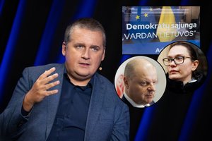 S. Malinauskas: „Jeigu S. Skvernelis ir toliau darys tokius pareiškimus, jis tiesiog palaidos partiją“