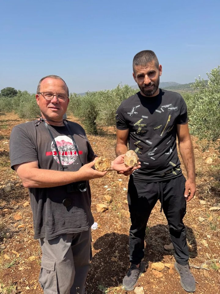 Ranas Barkai ir Muatazas Shalata demonstruoja retus rankinius kirvelius, rastus Sakhnino slėnyje.<br> R. Barkai nuotr.