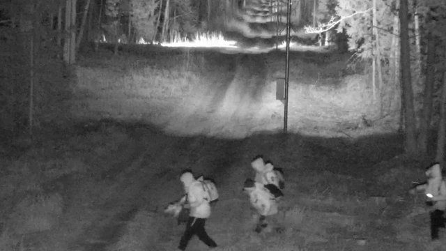 Užfiksuotas dar vienas nesėkmingas bandymas įsibrauti į Lietuvą: grupėje buvo vien jauni vyrai