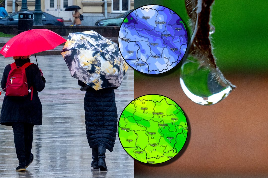 Sinoptikė pasidalijo naujausia prognoze: įspėjo apie permainas ir pranešė, kada vėl lepins šiluma