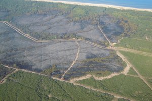 Kova su žolės degintojais įsibėgėja: ugniagesiai griežtina kontrolę