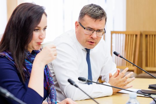 Opozicija neatsitraukia: nesulaukus I. Ruginienės atsakymų apie gynybos planus – kreipimasis į VGT