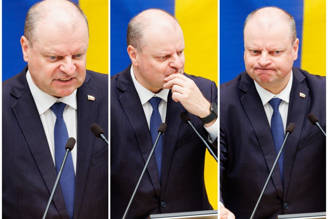  S. Skvernelis.<br> Lrytas koliažas.