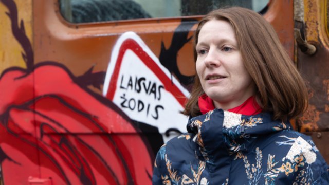 Protestų „Šalin rankas“ organizatoriai praneša apie tolimesnius veiksmus: kitą savaitę – dar vienas mitingas