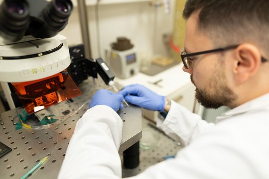 Lietuvos mokslininkų tyrimas su pelėmis gali padėti anksčiau atpažinti neurologinius sutrikimus