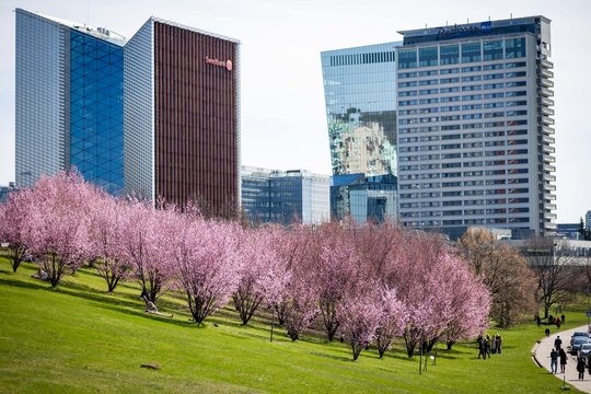 „Vinted“ įkūrėja – apie brangakmenį, kurį norisi parodyti Europai: visame pasaulyje neradome tokio miesto