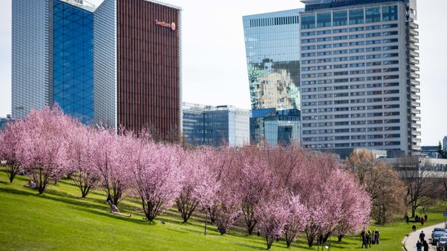 „Vinted“ įkūrėja – apie brangakmenį, kurį norisi parodyti Europai: visame pasaulyje neradome tokio miesto