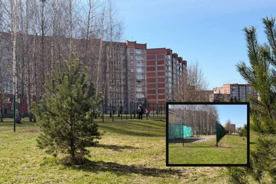 Pokyčiai prie mokyklos sukėlė klaipėdiečių aistras: gyventojams tenka keisti įpročius